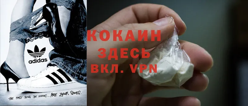 Где купить Микунь МАРИХУАНА  Меф  Альфа ПВП  Гашиш  АМФЕТАМИН  Cocaine 